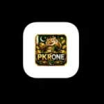 Pkr One Game