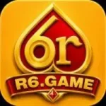 6R Game