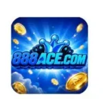 999V Game